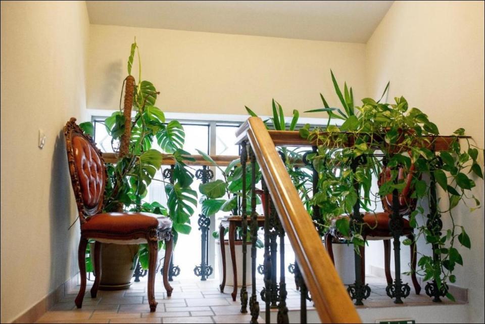 Apartment Senamiescio Inkaras Klaipėda Kültér fotó